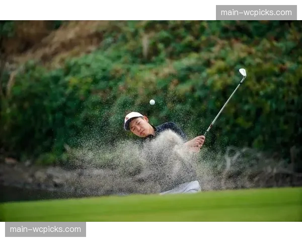 维创科技首次在球员锦标赛使用实时3D球路追踪，为电视观众提供全新视角