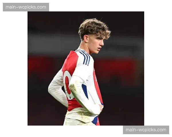 阿森纳剩余赛程分析：枪手能否顶住压力卫冕成功？